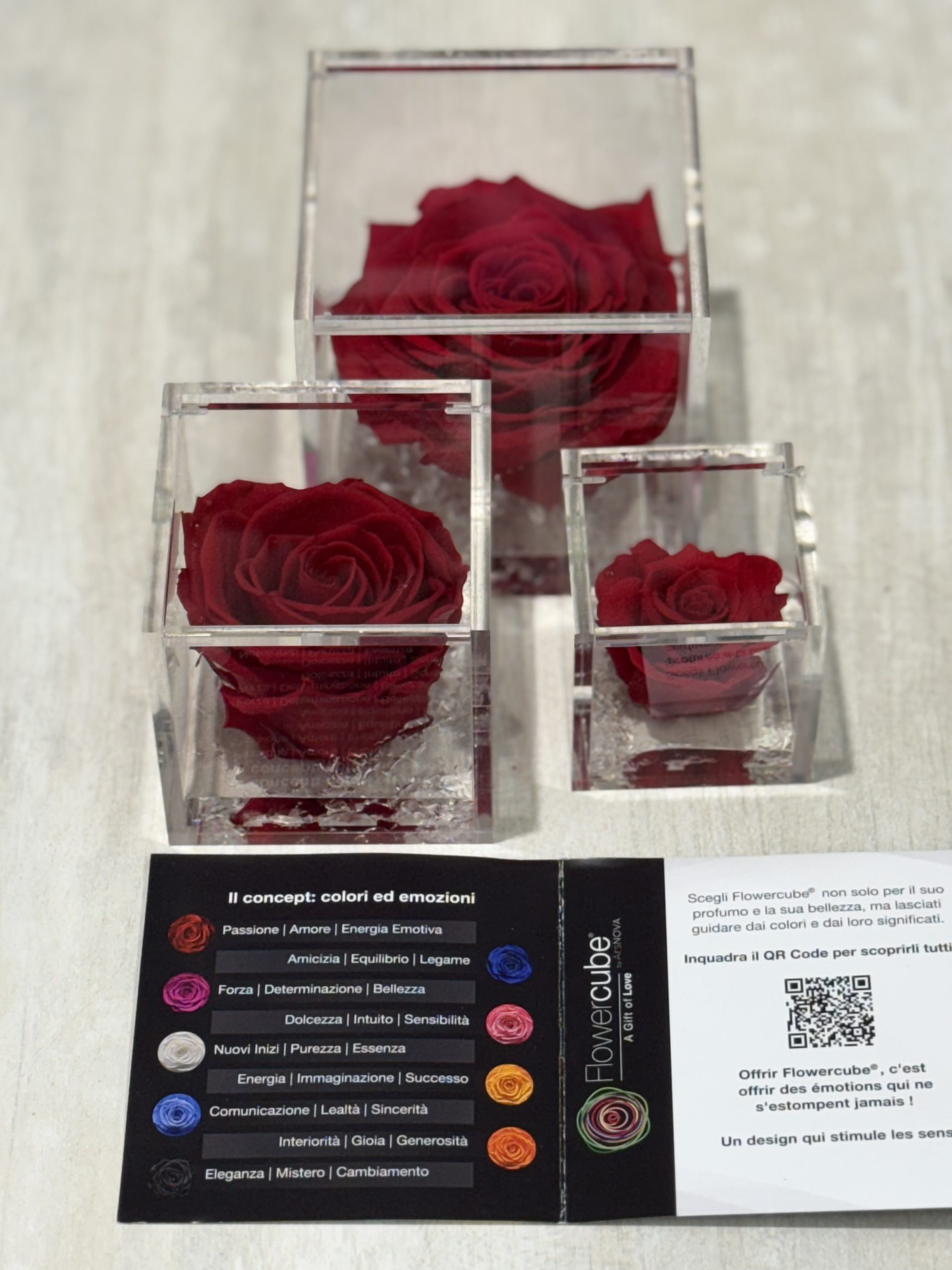 Rosa Eterna Flowercube pequeña 6x6 - Imagen 7