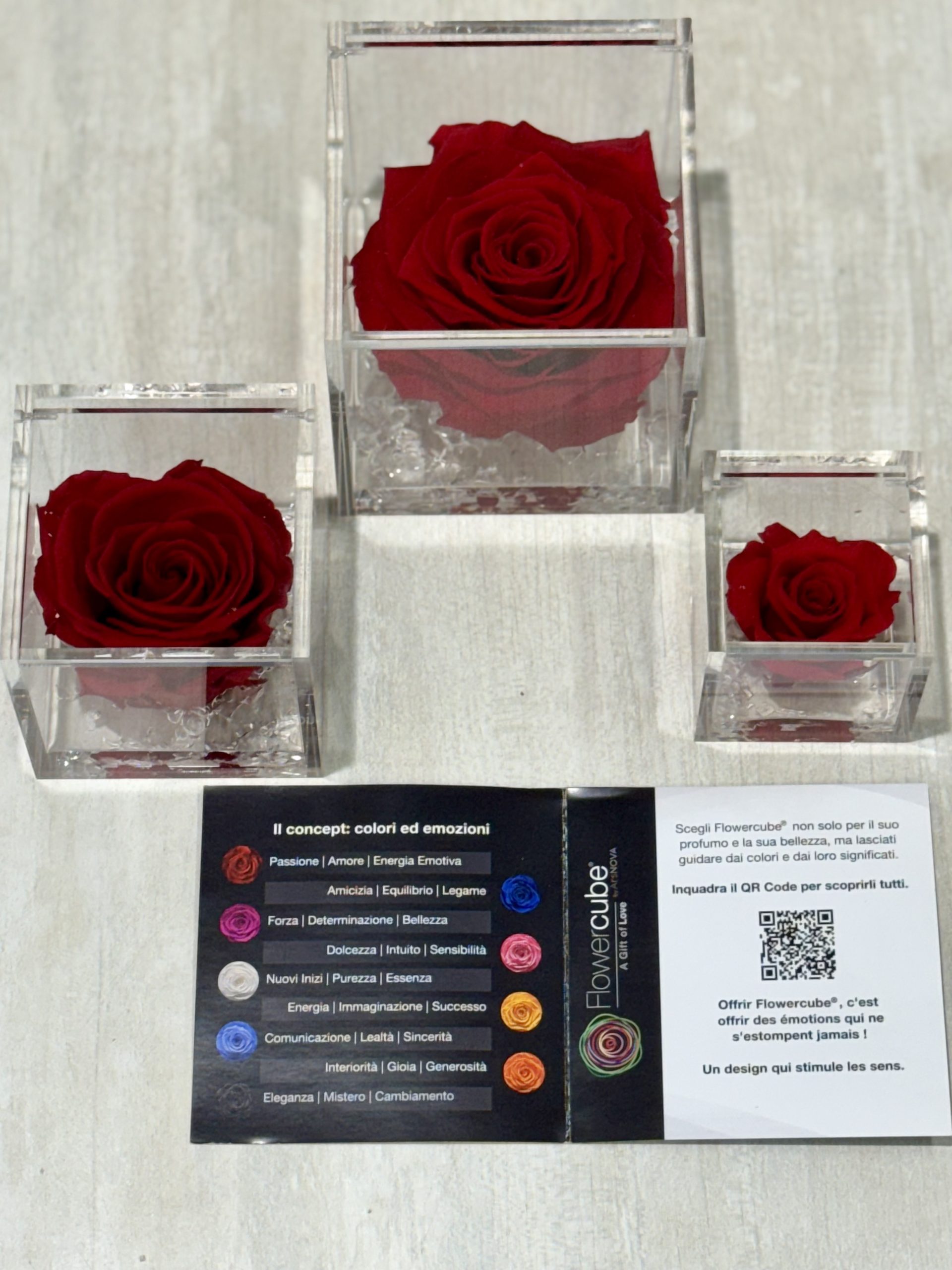 Rosa Eterna Flowercube pequeña 6x6 - Imagen 4