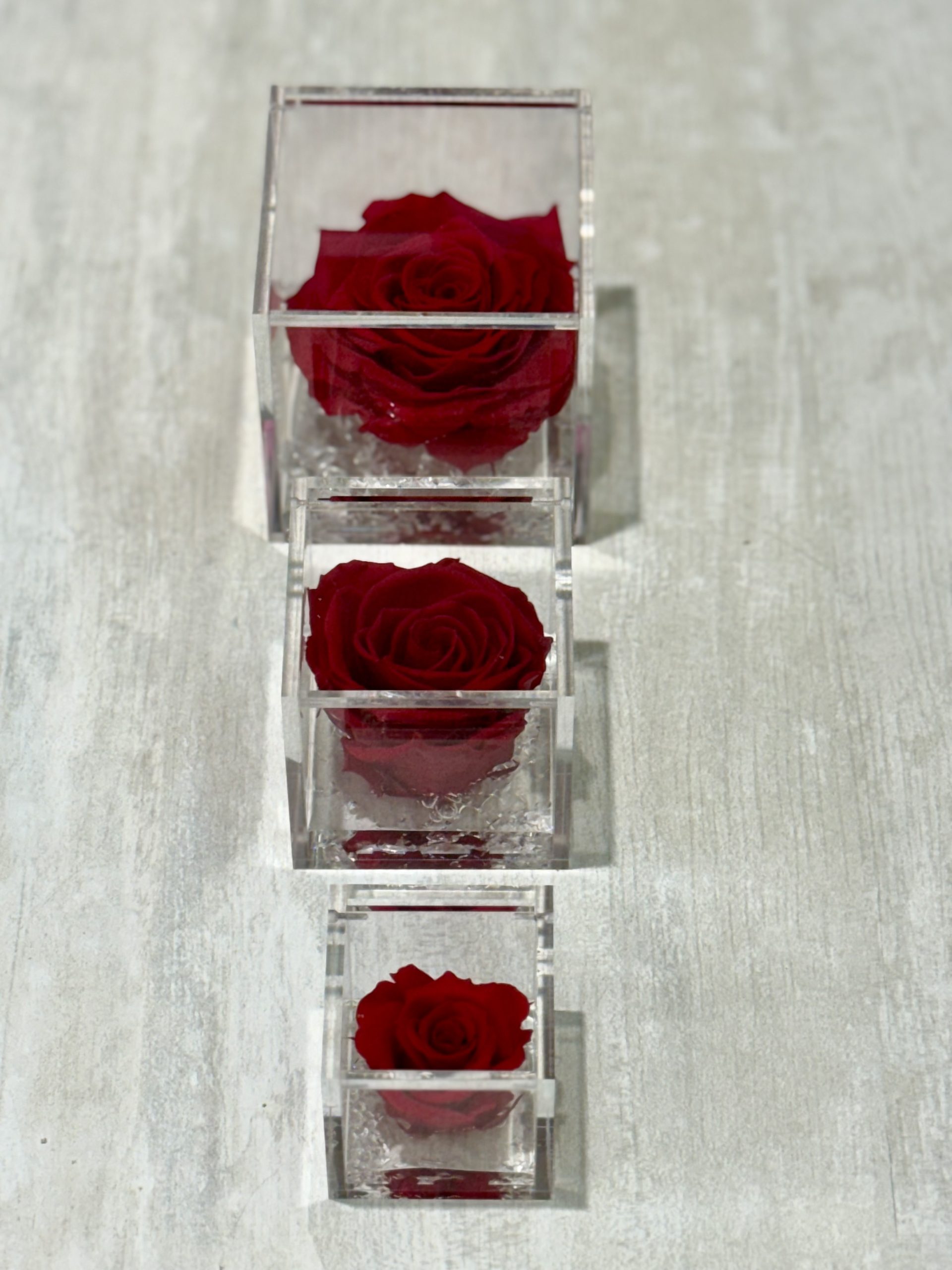 Rosa Eterna Flowercube pequeña 6x6 - Imagen 3