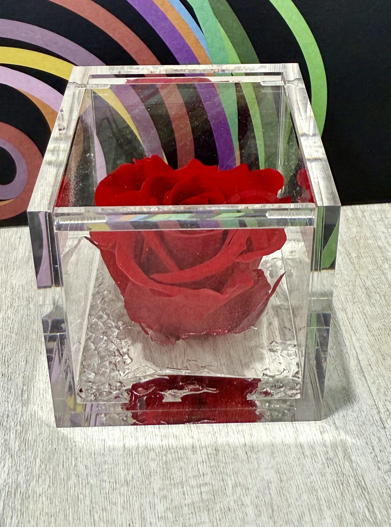 Rosa Eterna Flowercube pequeña 6×6