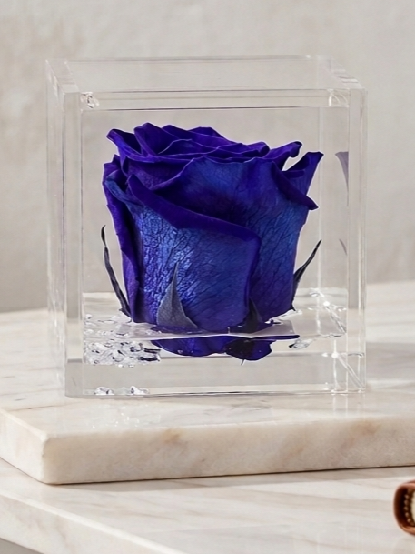 Rosa Eterna Flowercube Azul Oscuro mediana 8×8