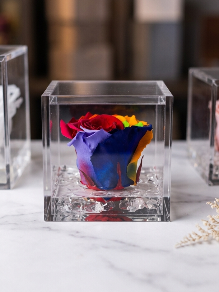 Rosa Eterna Flowercube Rainbow mediana 8×8