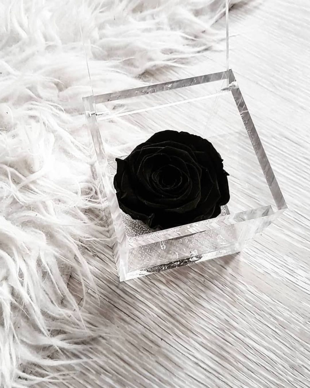 Rosa Eterna Flowercube Negro mediana 8×8