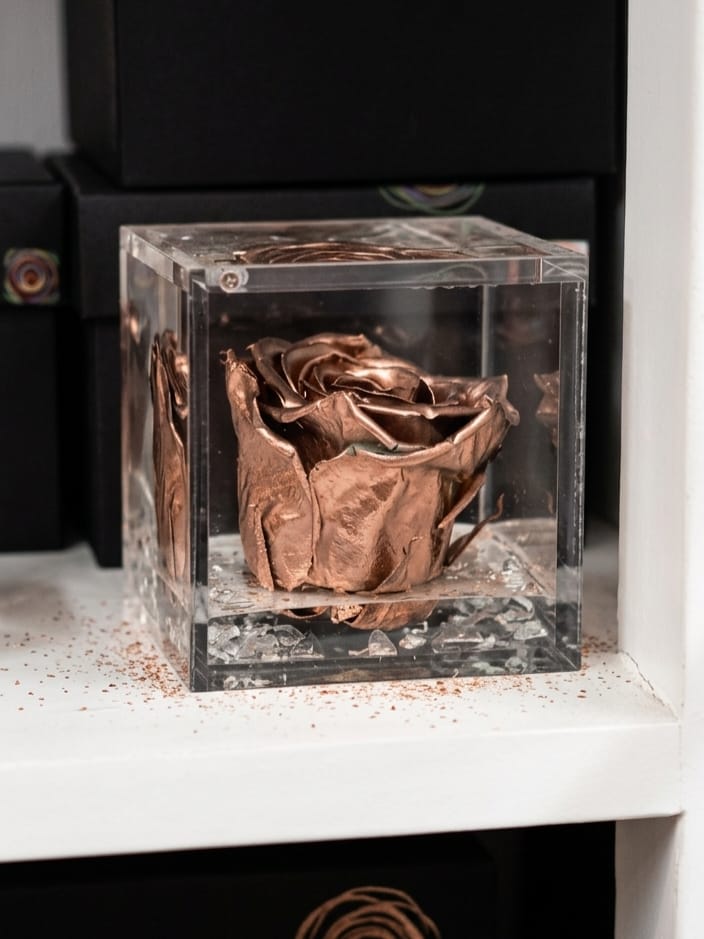 Rosa Eterna Flowercube Gold mediana 8×8