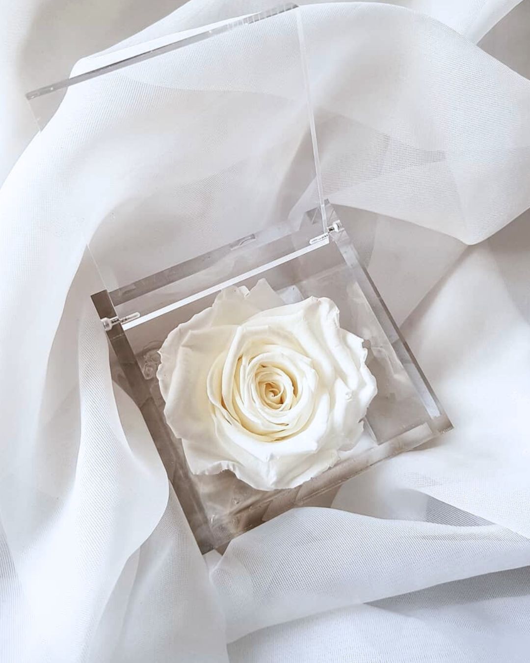 Rosa Eterna Flowercube blanca