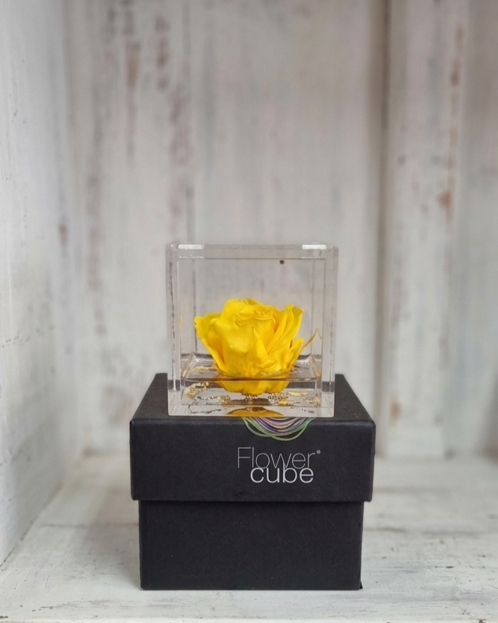 Rosa Eterna Flowercube Amarilla pequeña 6×6