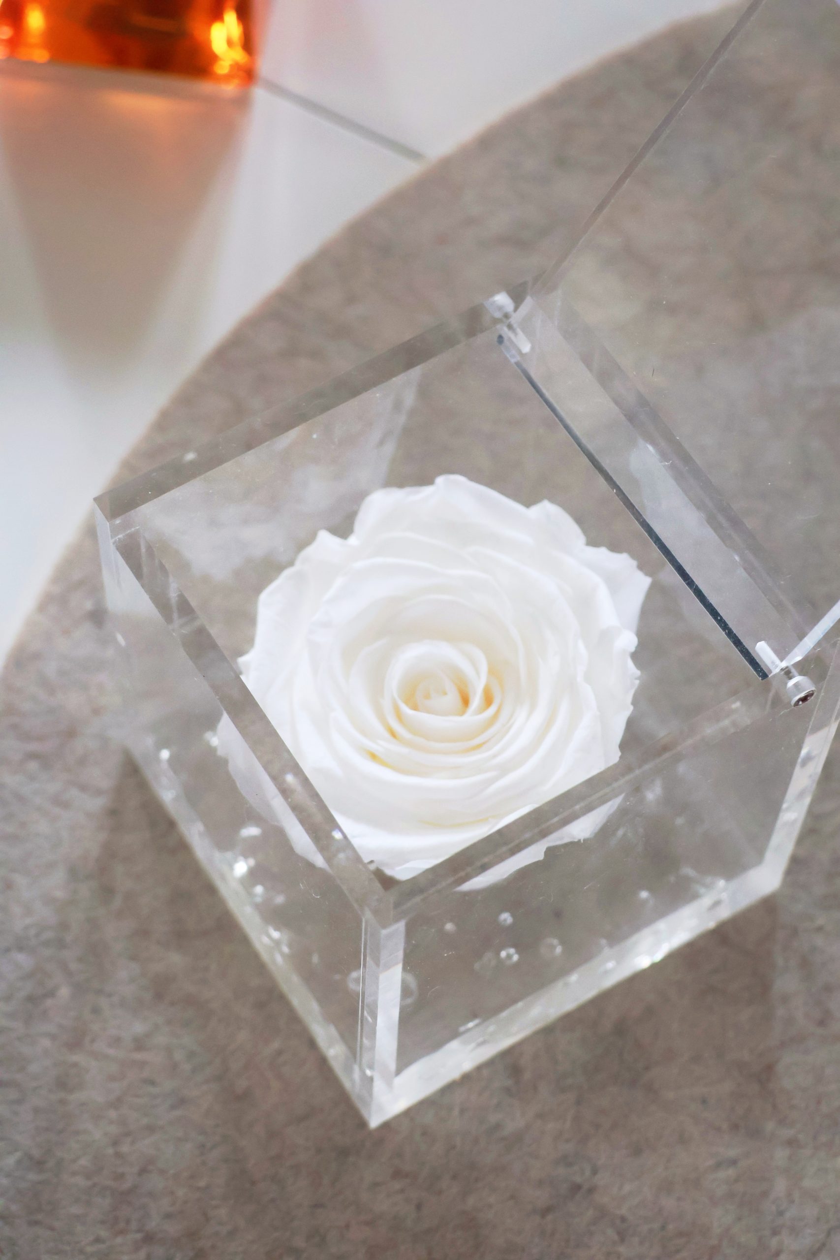 Rosa Eterna Flowercube Blanca mediana 8×8