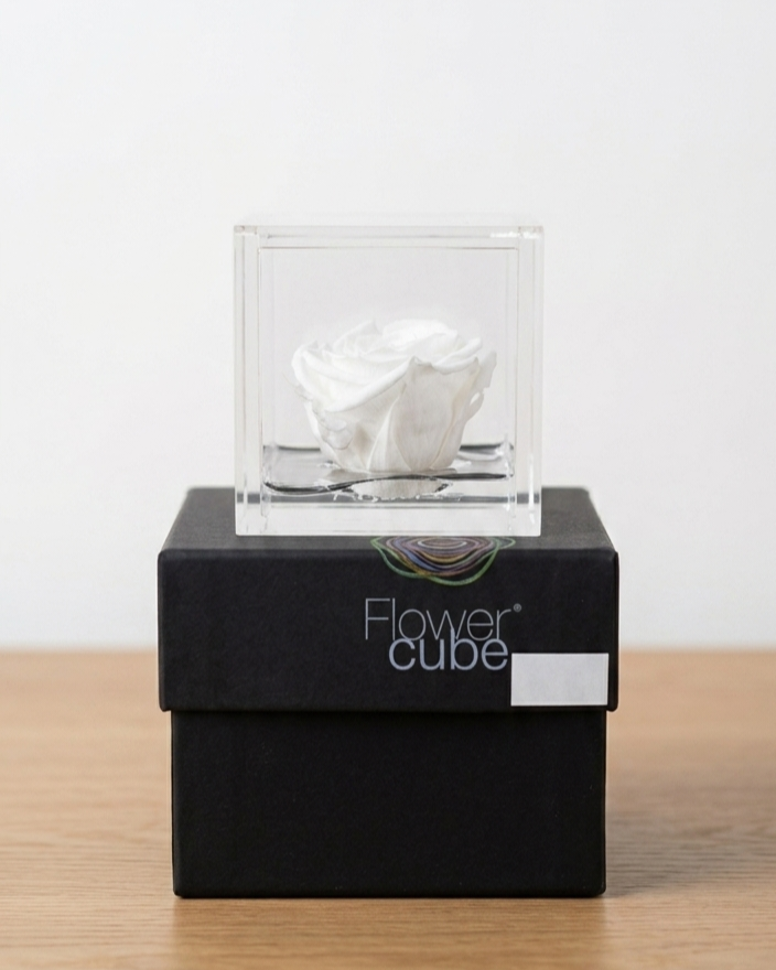 Rosa Eterna Flowercube Blanca pequeña 6×6
