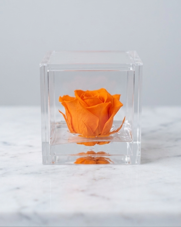 Rosa Eterna Flowercube Naranja pequeña 6×6