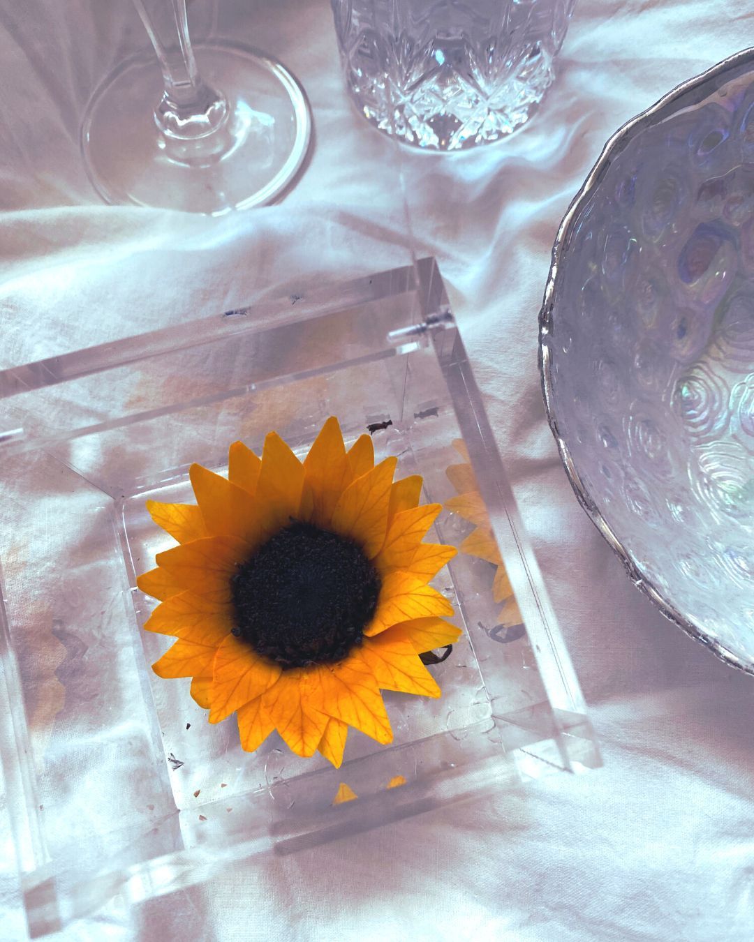 Girasol Preservado Flowercube grande 10×10