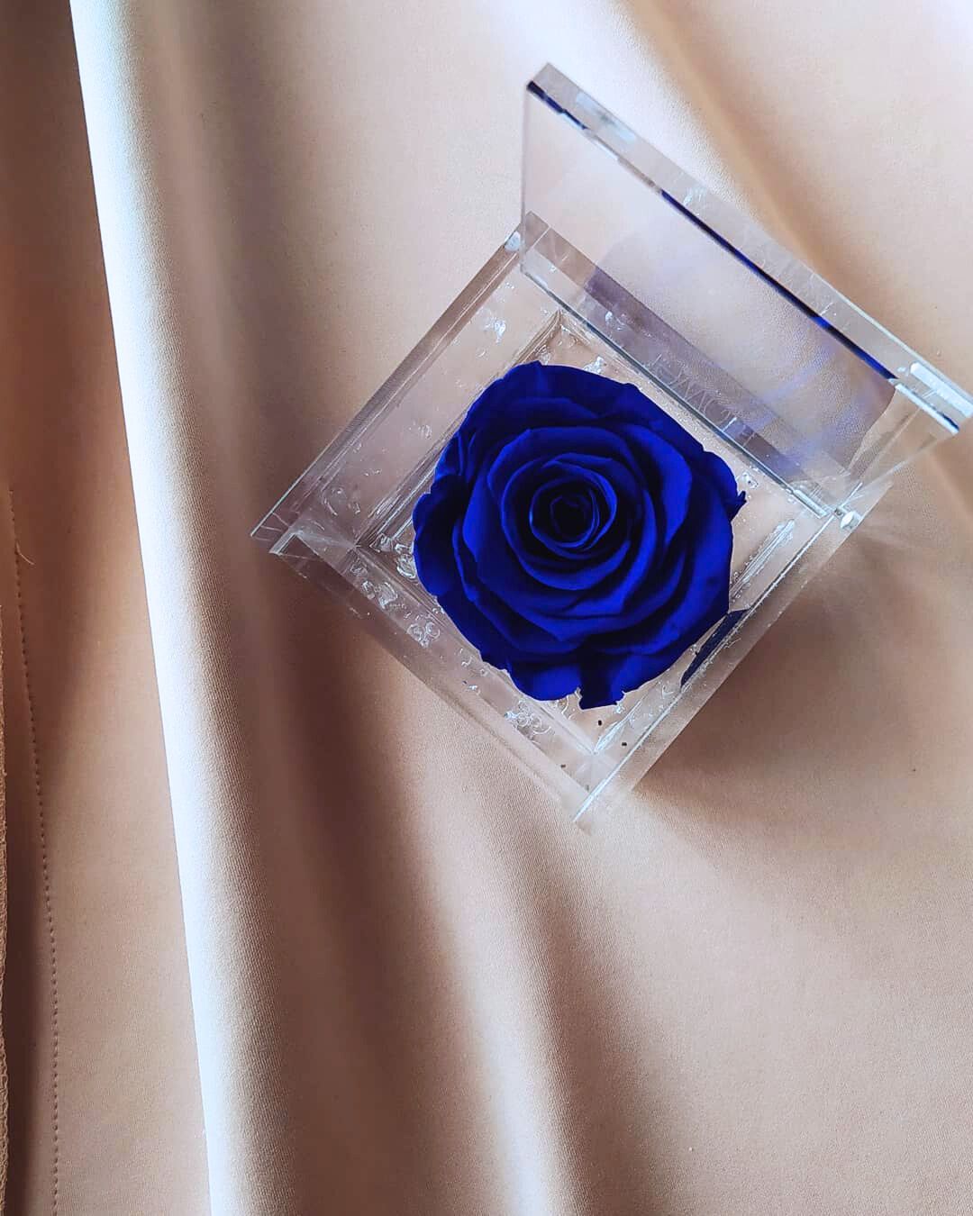 Rosa Eterna Flowercube Azul Oscuro pequeña 6×6