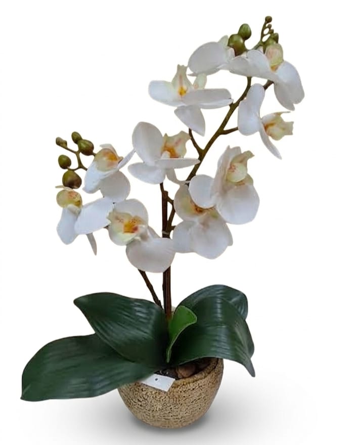 Orquídea Phalaenopsis Artificial Blanca en Maceta Texturizada de Cerámica